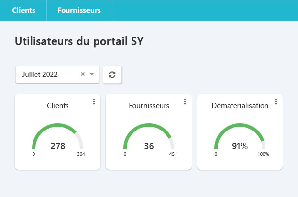Facturation electronique SY, Réseau